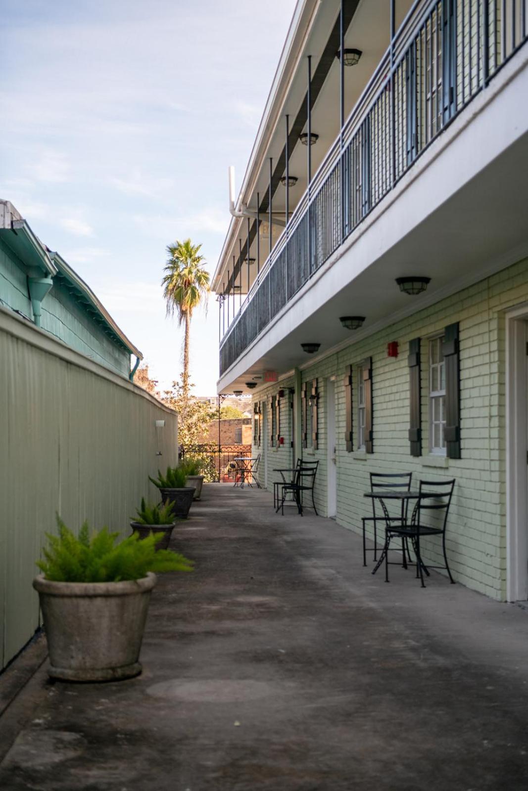 French Quarter Suites Hotel New Orleans Eksteriør billede
