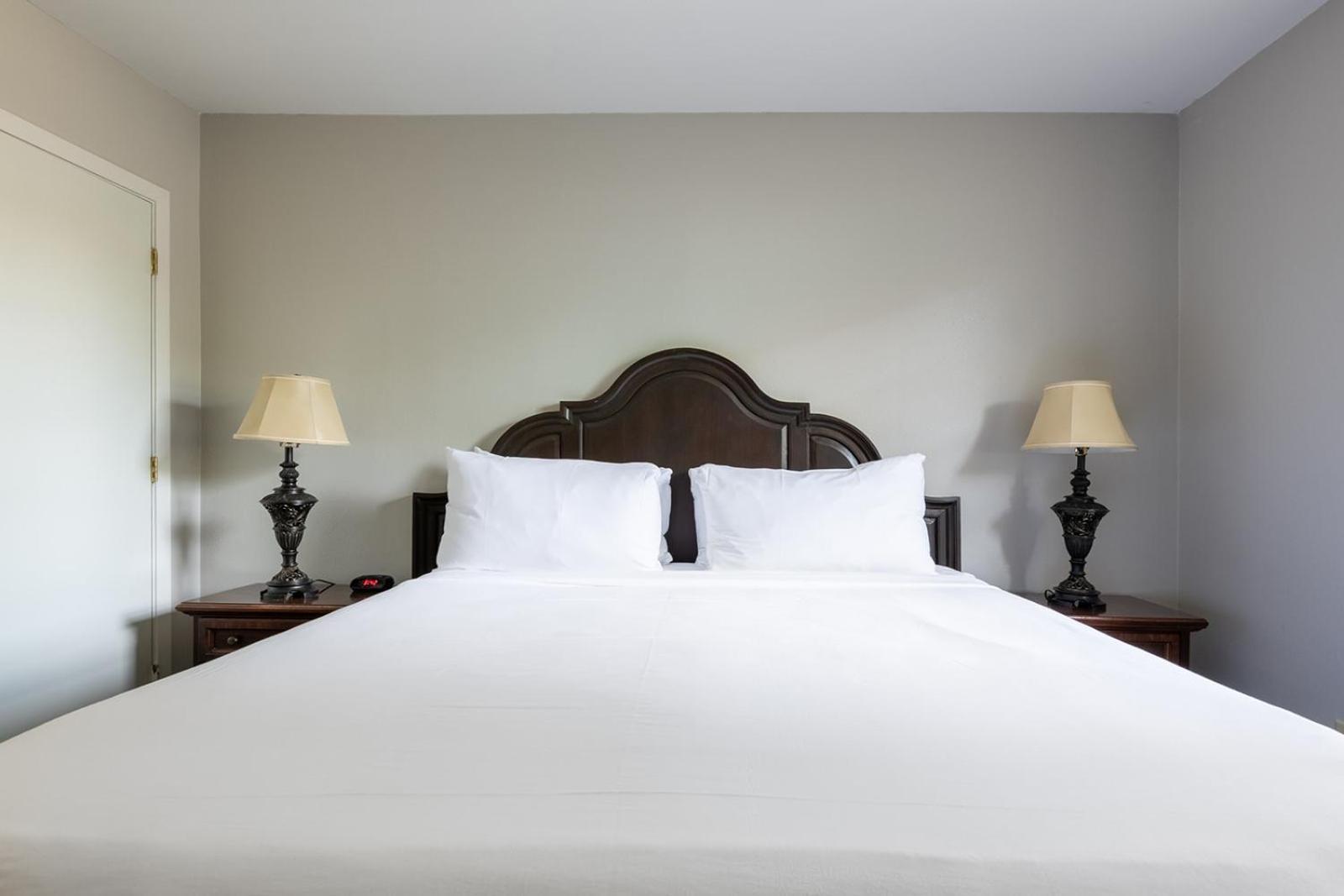 French Quarter Suites Hotel New Orleans Eksteriør billede