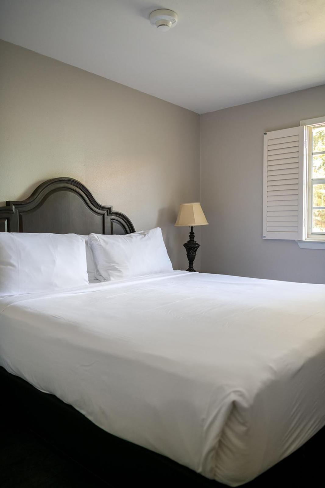 French Quarter Suites Hotel New Orleans Eksteriør billede